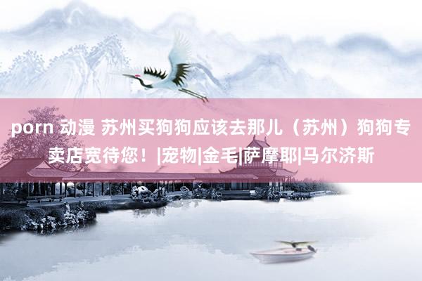 porn 动漫 苏州买狗狗应该去那儿（苏州）狗狗专卖店宽待您！|宠物|金毛|萨摩耶|马尔济斯