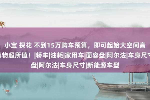 小宝 探花 不到15万购车预算，即可起始大空间高技术车型，真物超所值！|轿车|油耗|家用车|面容盘|阿尔法|车身尺寸|新能源车型
